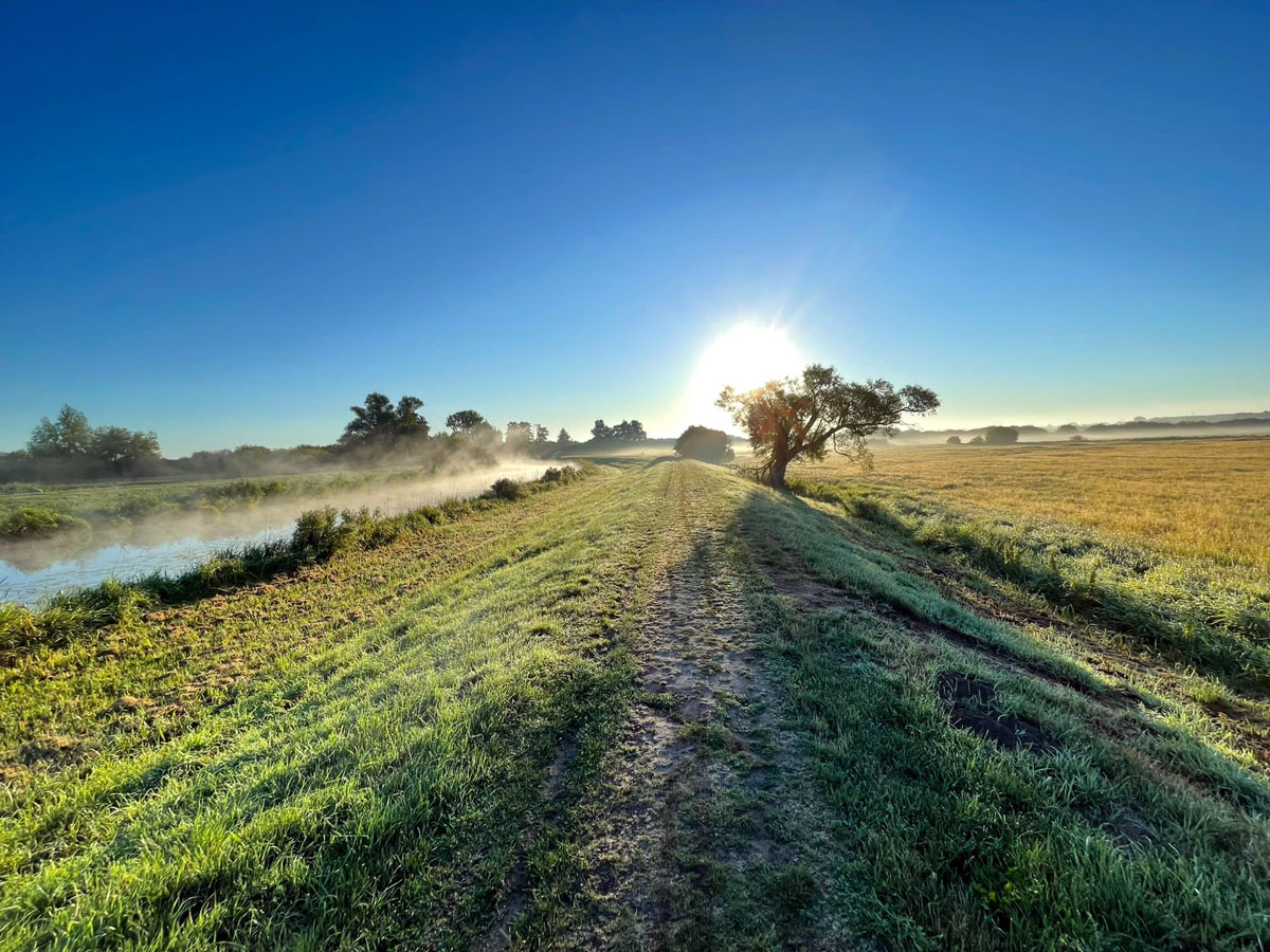 wandern am Dümmer-See