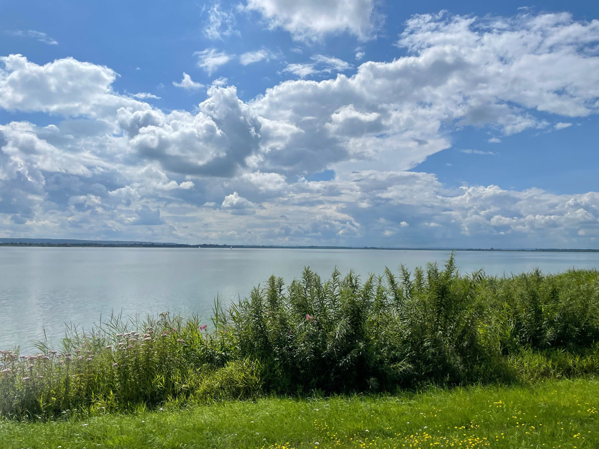 schöne Aussicht am Dümmer-See
