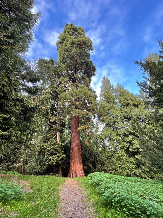 Wandern am Dümmer-See